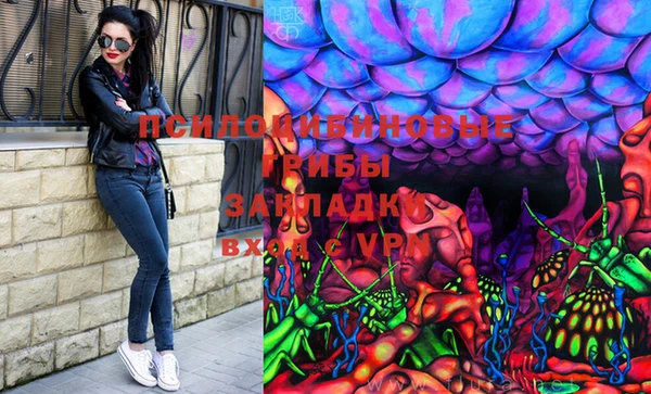spice Алексеевка