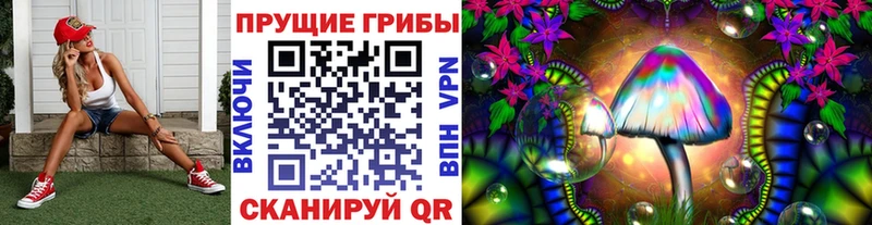 Галлюциногенные грибы мицелий  Богданович 